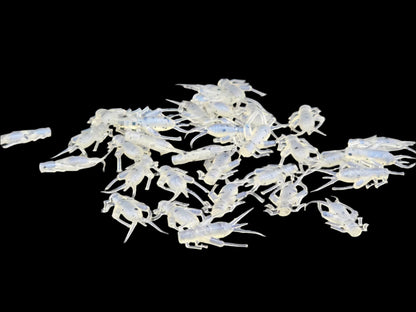 (32 ct.) .875" Mighty Cricket Soft Plastic Bait