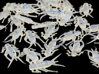 (32 ct.) .875" Mighty Cricket Soft Plastic Bait